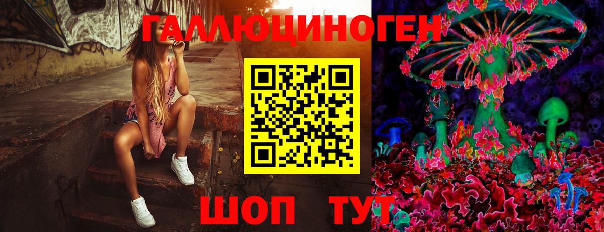 Галлюциногенные грибы Psilocybe  Псилоцибиновые грибы Cubensis  Вход с VPN  Узловая 